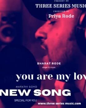 Bharat Rode portfolio image4