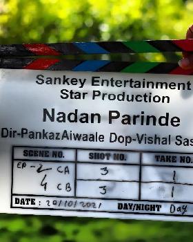 Sanket Jadhav portfolio image6