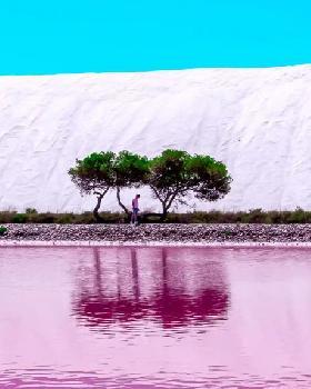 Test Recruiter Live portfolio image2